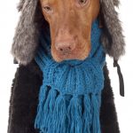 Staying healthy in winter blog