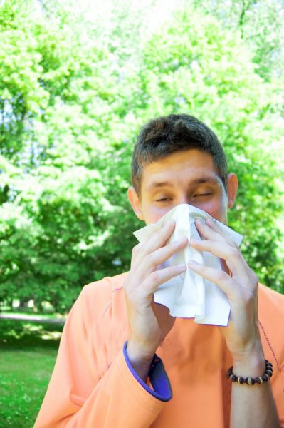 Spring Allergy blog