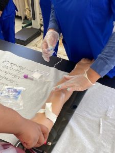 learn phlebotomy