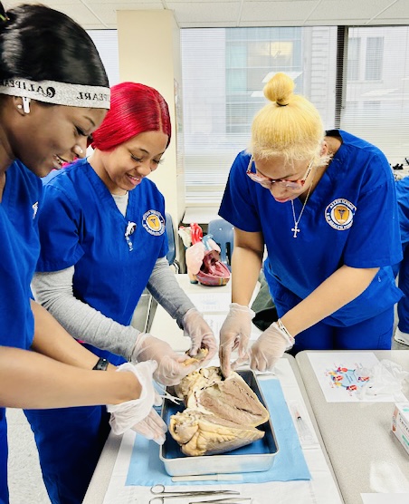 Healthcare Management Program at Allen School