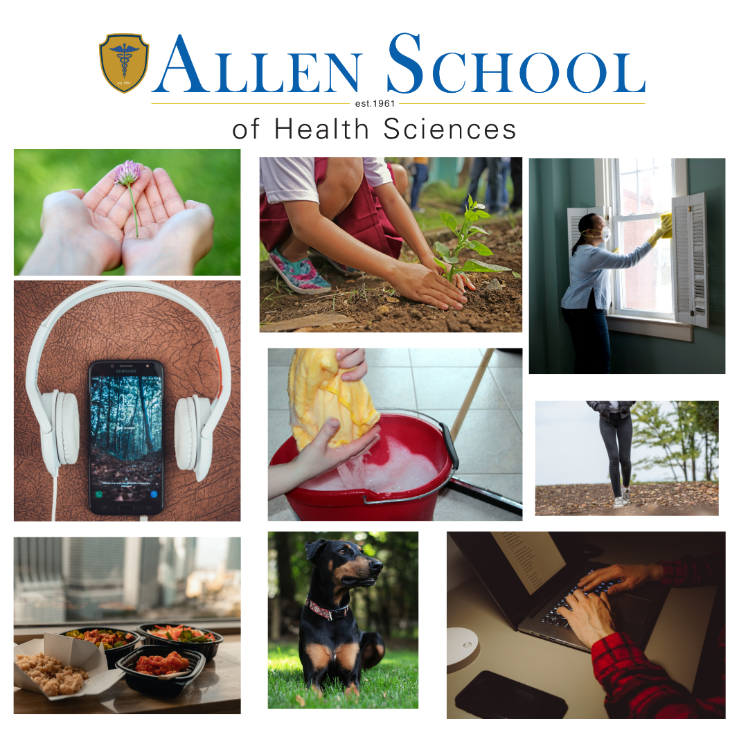 Allen School of Health Services - History